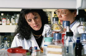 chemical lab and excedrin migraine